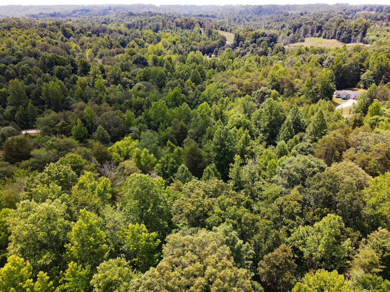 Private Rural Homesite For Sale Rockingham County, NC Your Place to